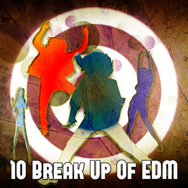 Couverture de 10 Break up of Edm