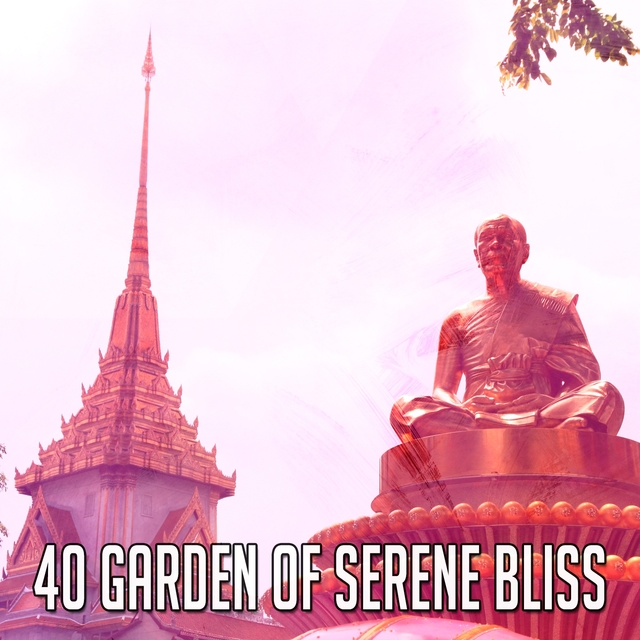 Couverture de 40 Garden of Serene Bliss