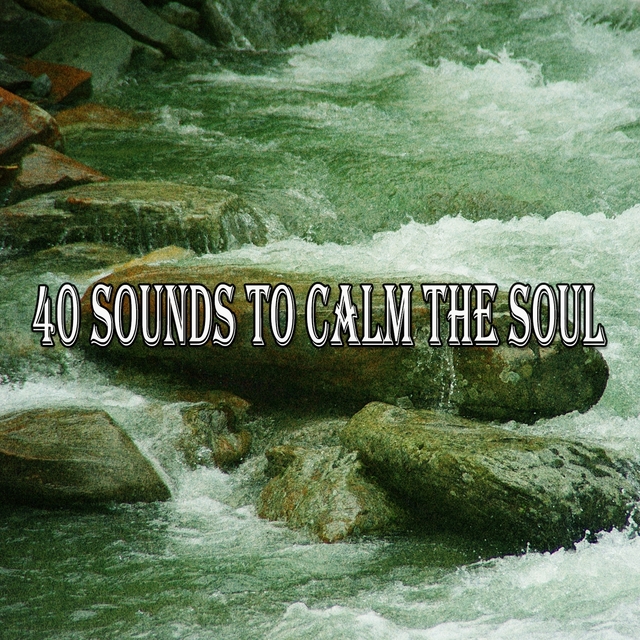 40 Sounds to Calm the Soul