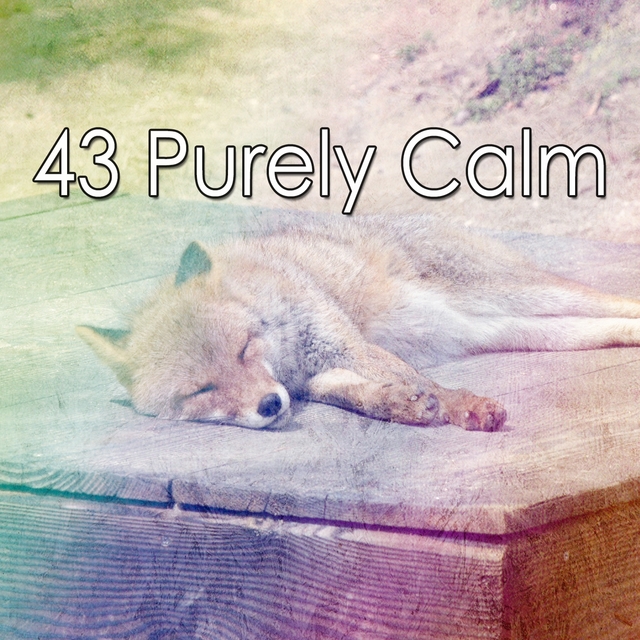 Couverture de 43 Purely Calm