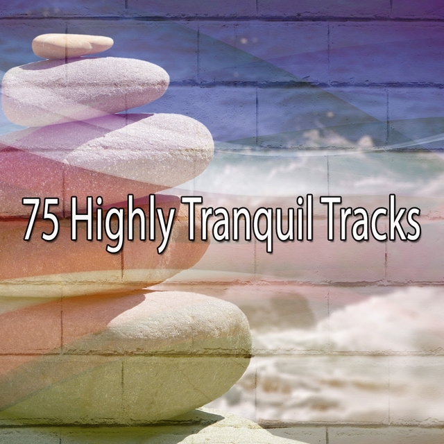 Couverture de 75 Highly Tranquil Tracks