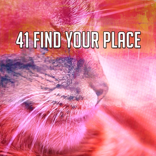 41 Find Your Place