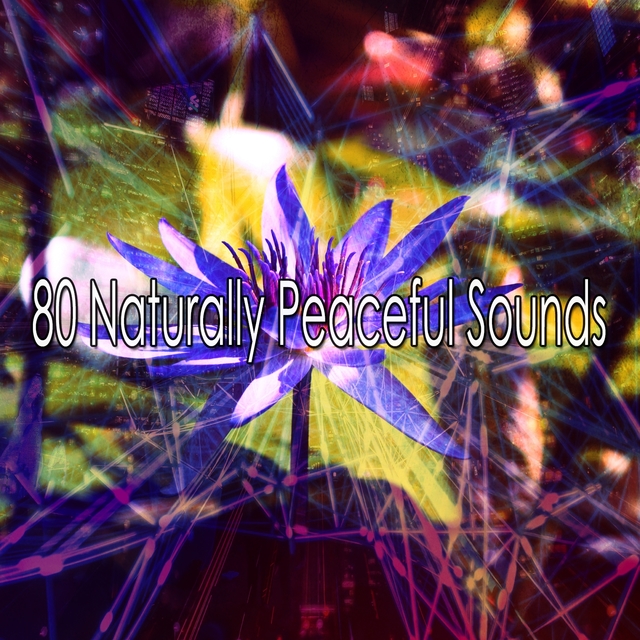 Couverture de 80 Naturally Peaceful Sounds