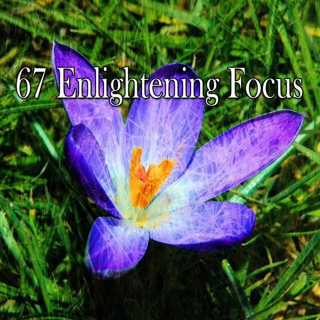 67 Enlightening Focus