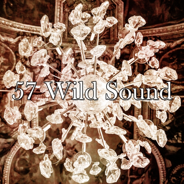 57 Wild Sound