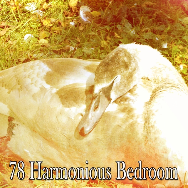 78 Harmonious Bedroom