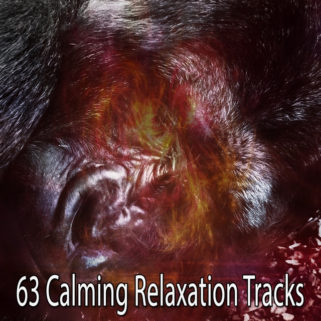 63 Calming Relaxation Tracks