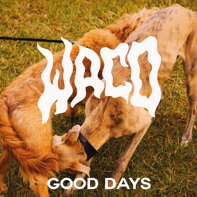 Couverture de Good Days