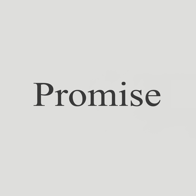 Couverture de Promise