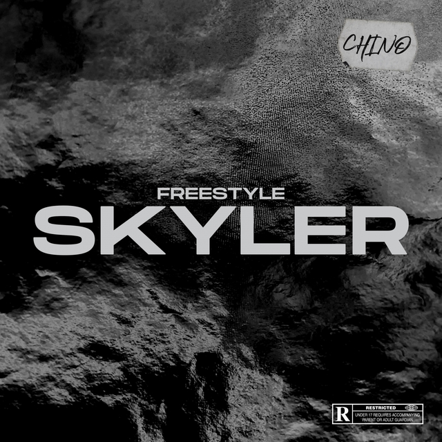 Couverture de Freestyle Skyler