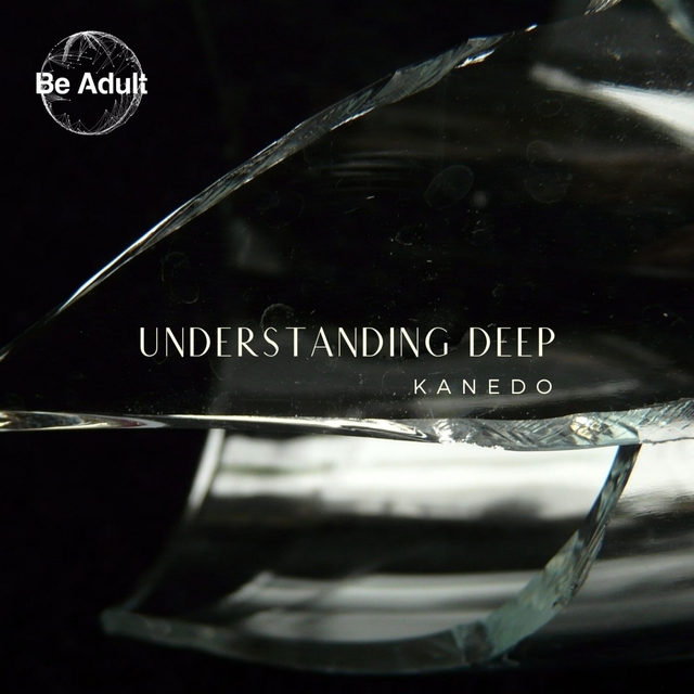 Couverture de Understanding Deep