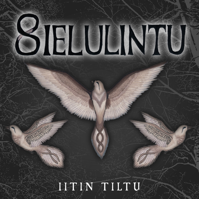 Couverture de Iitin Tiltu