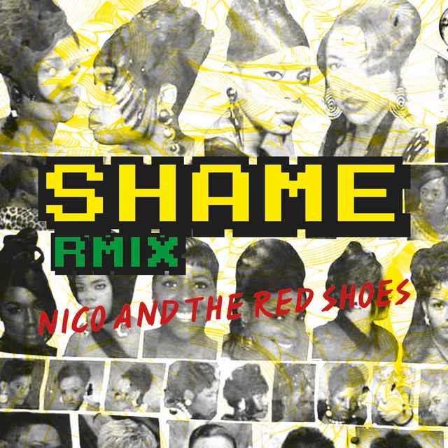 Couverture de Shame