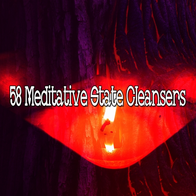 58 Meditative State Cleansers