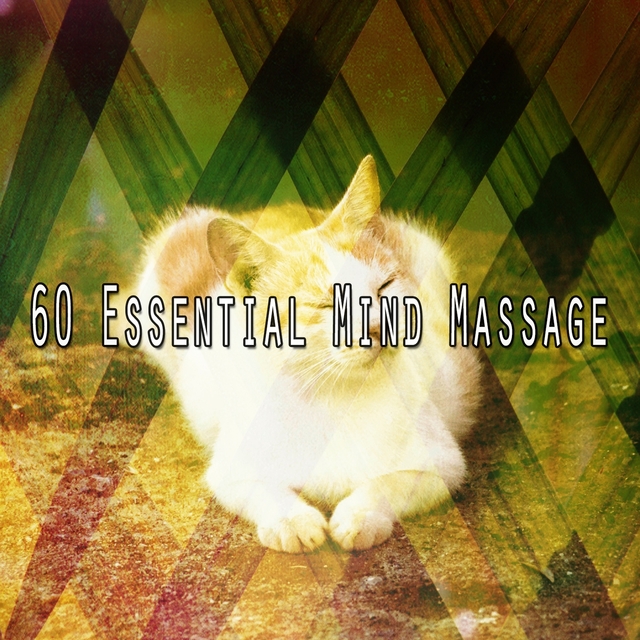 60 Essential Mind Massage