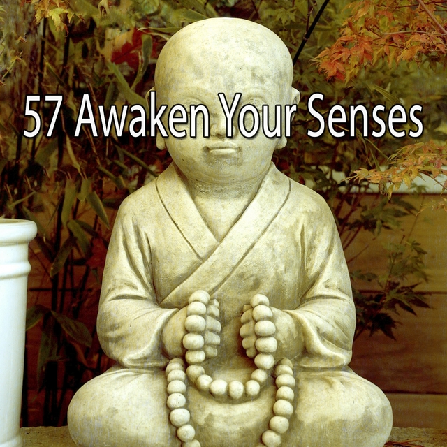 57 Awaken Your Senses