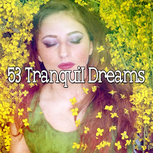 53 Tranquil Dreams