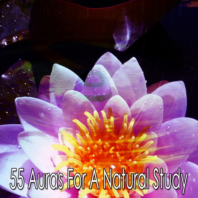 55 Auras for a Natural Study