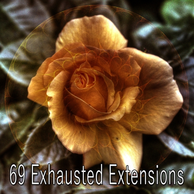 69 Exhausted Extensions