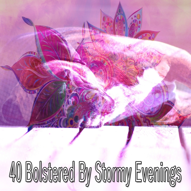 40 Bolstered by Stormy Evenings