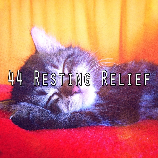 44 Resting Relief