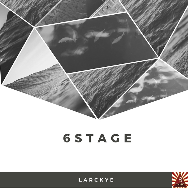 6Stage