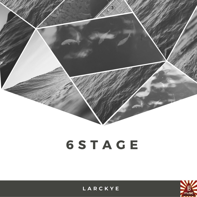 Couverture de 6Stage