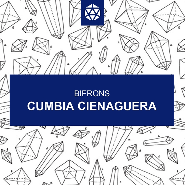 Couverture de Cumbia Cienaguera