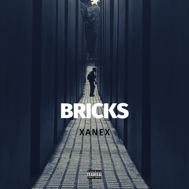 Couverture de Bricks