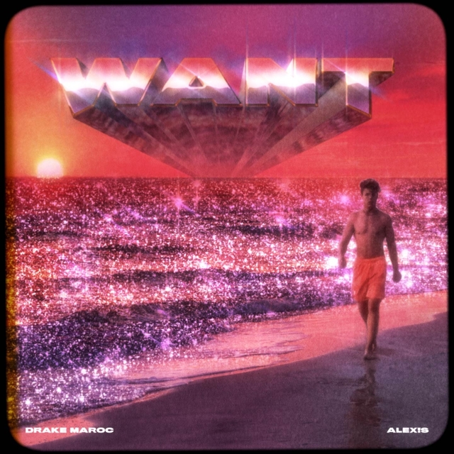 Couverture de Want