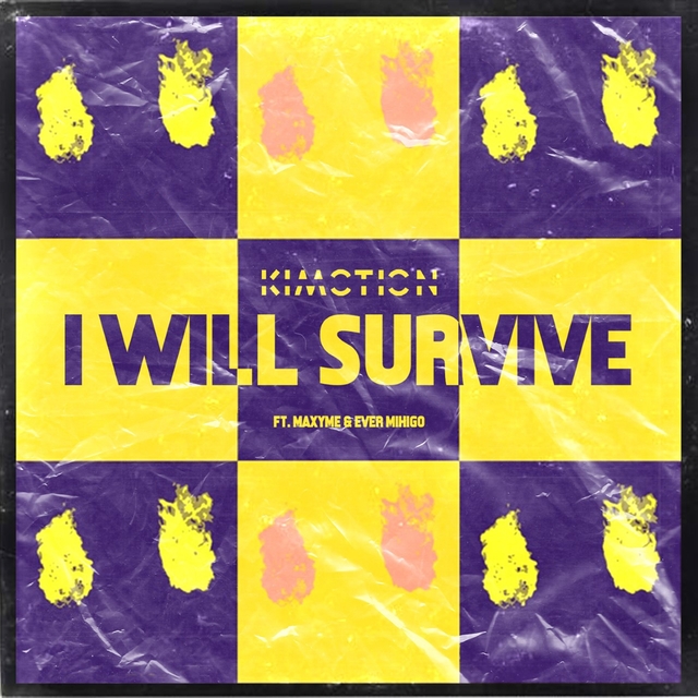 Couverture de I Will Survive