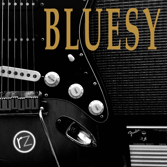 Couverture de Bluesy