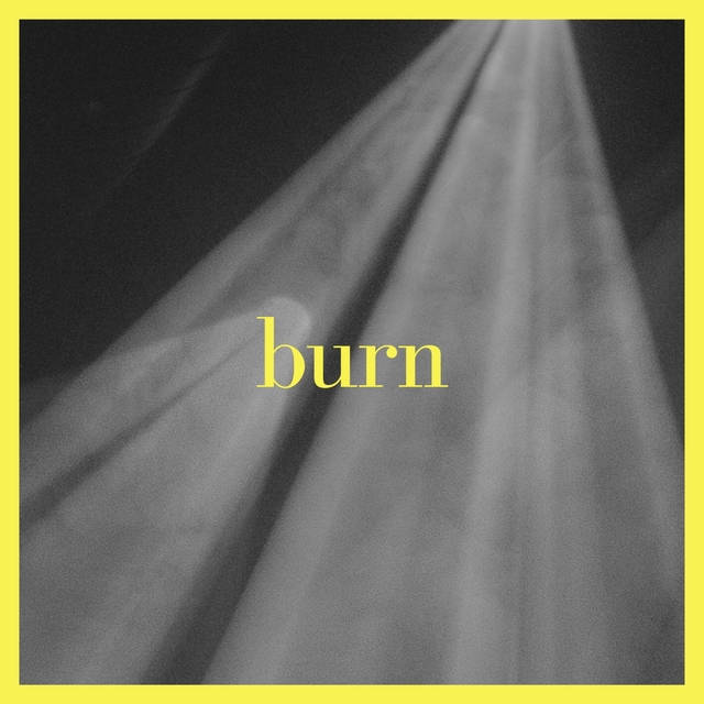 Couverture de Burn