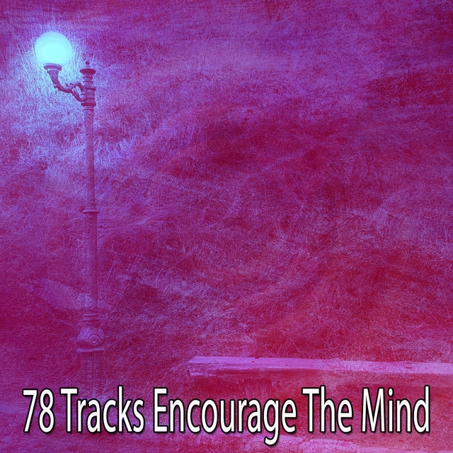 78 Tracks Encourage the Mind