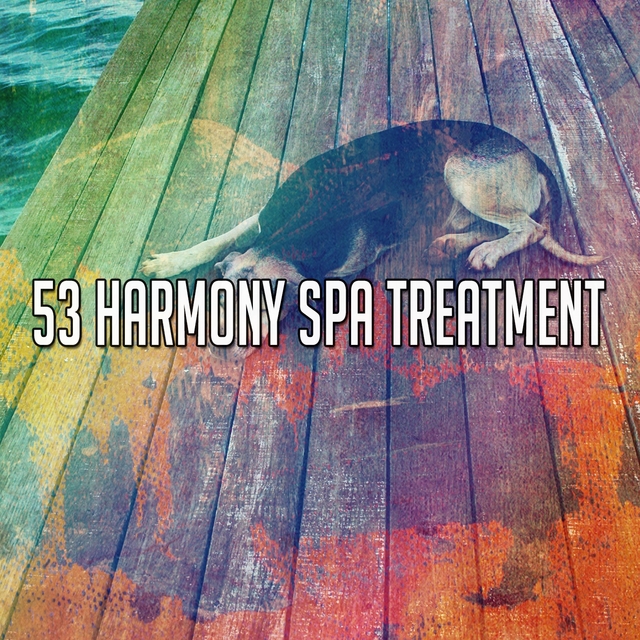 53 Harmony Spa Treatment