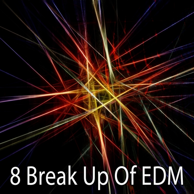 Couverture de 8 Break up of Edm