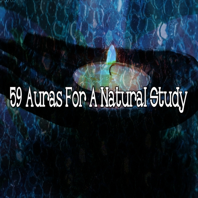 Couverture de 59 Auras for a Natural Study