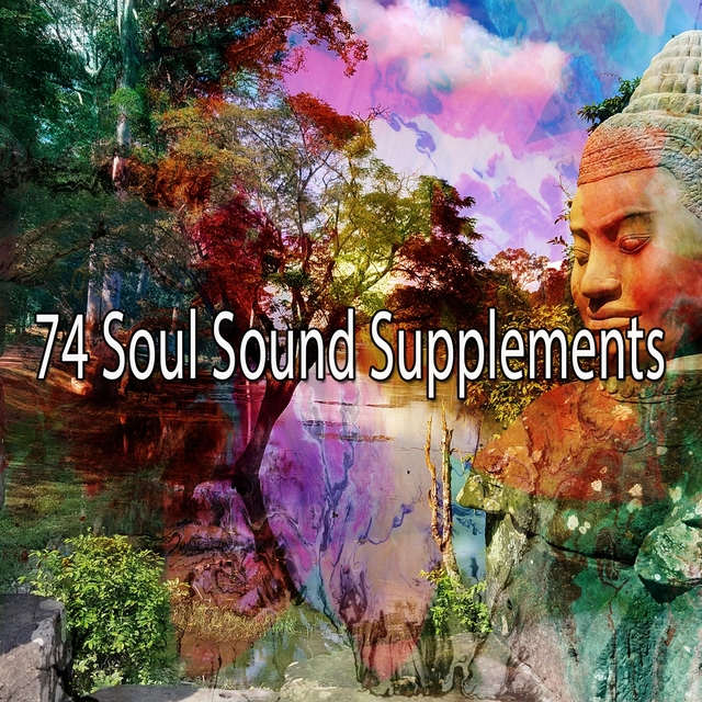 Couverture de 74 Soul Sound Supplements