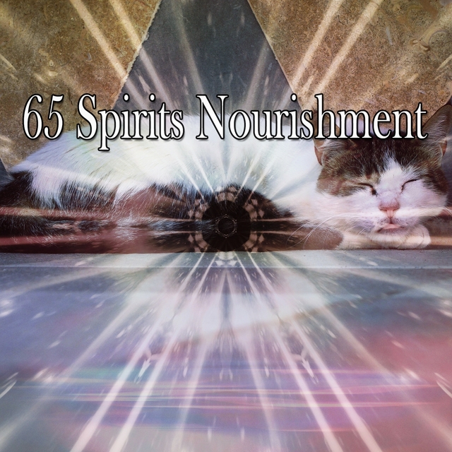 65 Spirits Nourishment