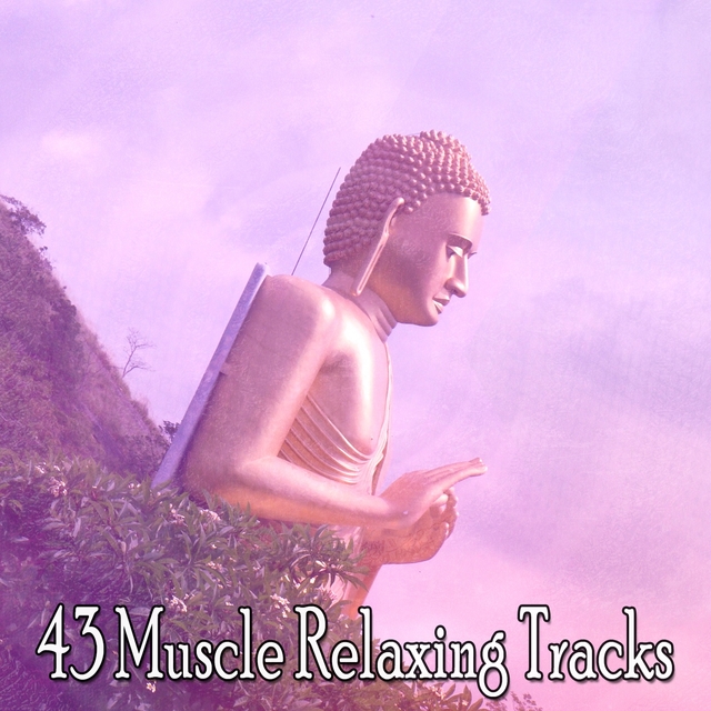 43 Muscle Relaxing Tracks