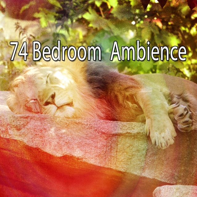 Couverture de 74 Bedroom Ambience