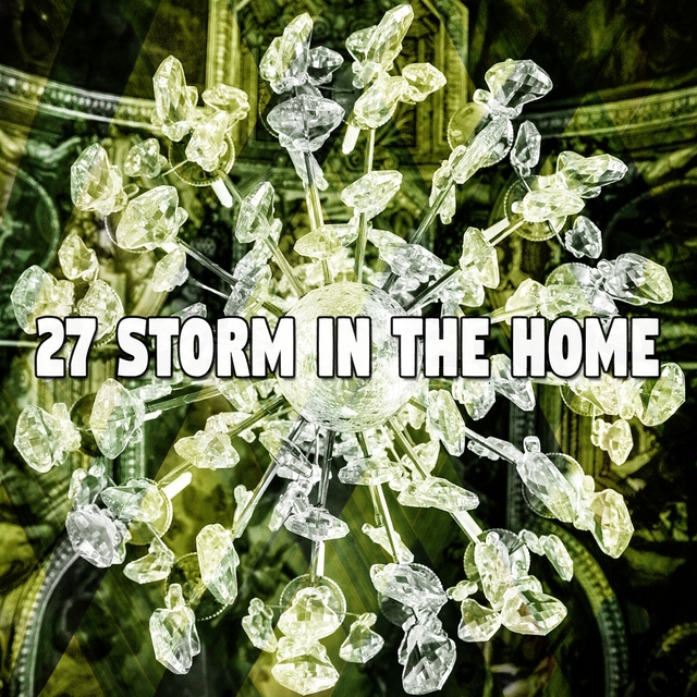 27 Storm in the Home