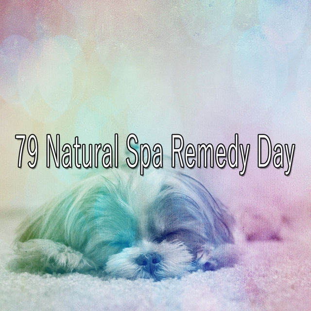 Couverture de 79 Natural Spa Remedy Day