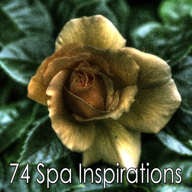 74 Spa Inspirations