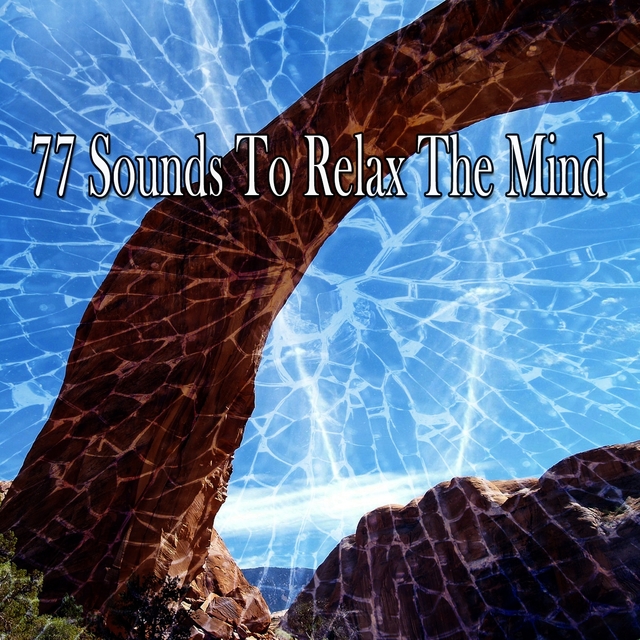 Couverture de 77 Sounds to Relax the Mind