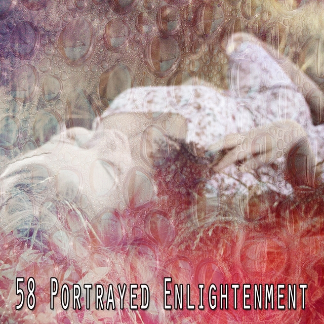 Couverture de 58 Portrayed Enlightenment