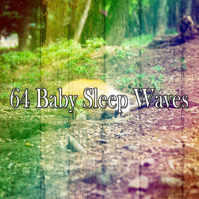 64 Baby Sleep Waves