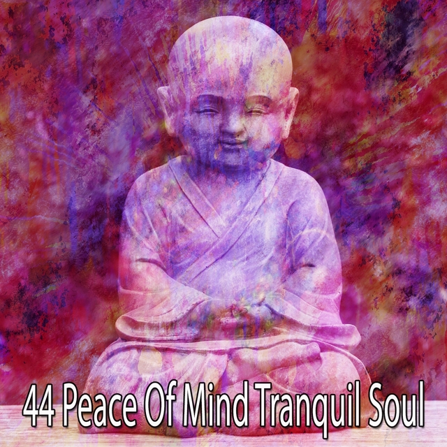 44 Peace of Mind Tranquil Soul