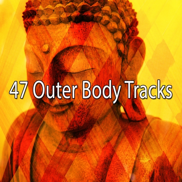 Couverture de 47 Outer Body Tracks