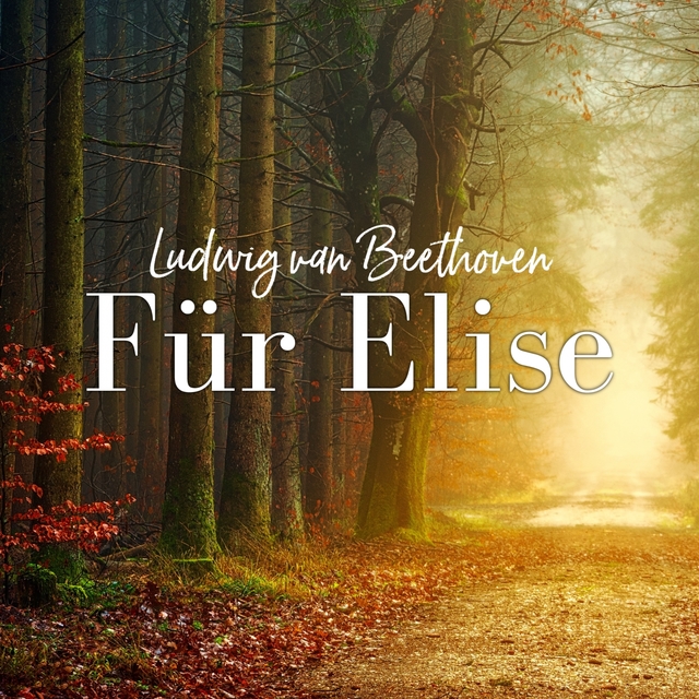 Für Elise